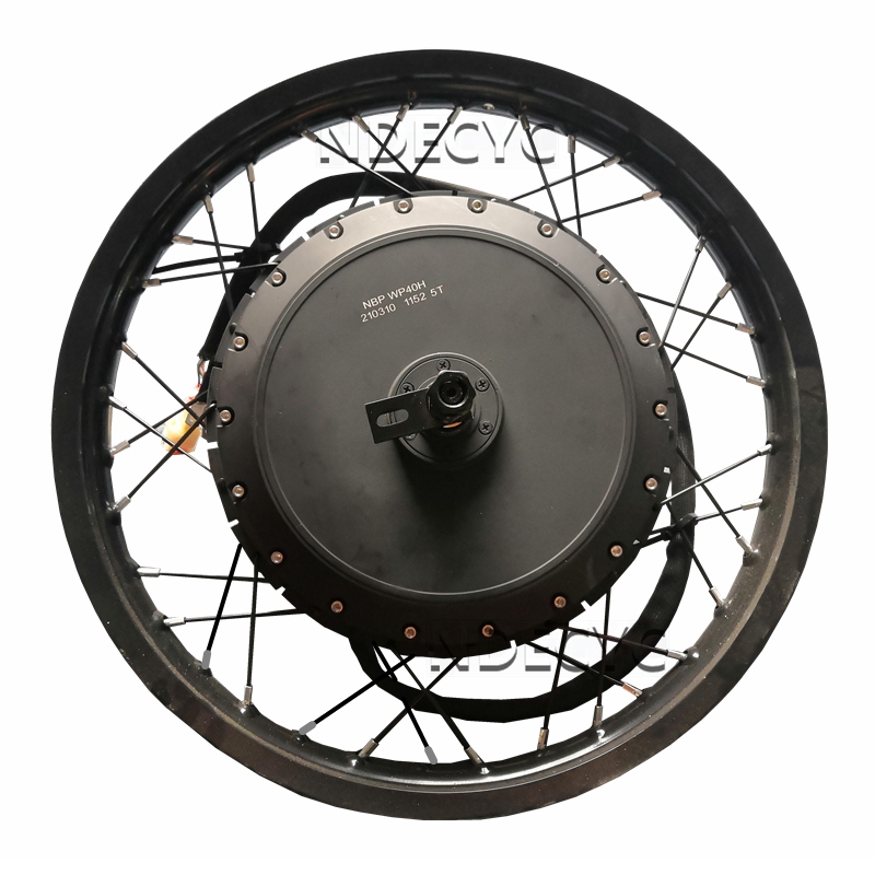 NBpower/QS V3 273 40H Motorcyc - Qs Motor 273 8000W Hub Motor 评论和价格